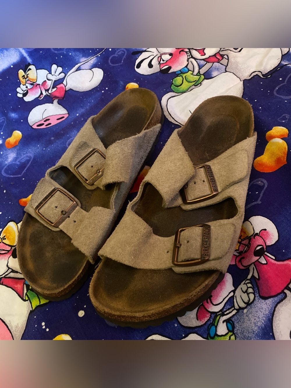 Classic Birkenstock Sandals